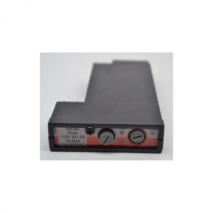 45C60 Allen-bradley Dual Output Module