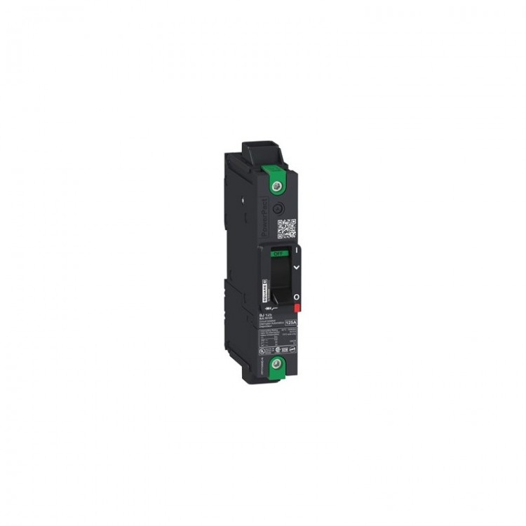 BGL16070 Schneider Electric