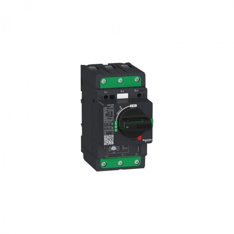 GV4L02N Schneider Electric