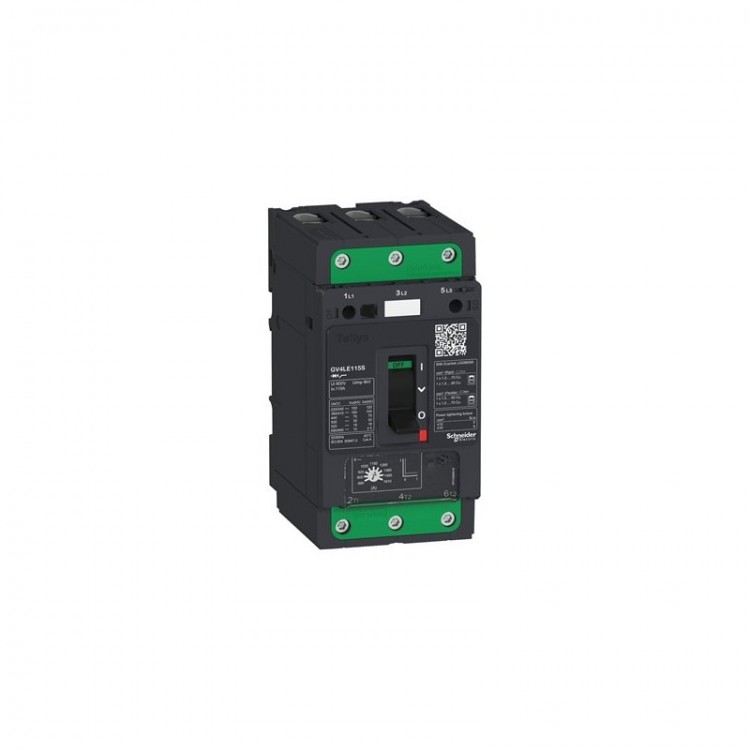 GV4LE50S Schneider Electric