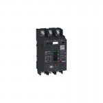 GV4LE50S6 Schneider Electric