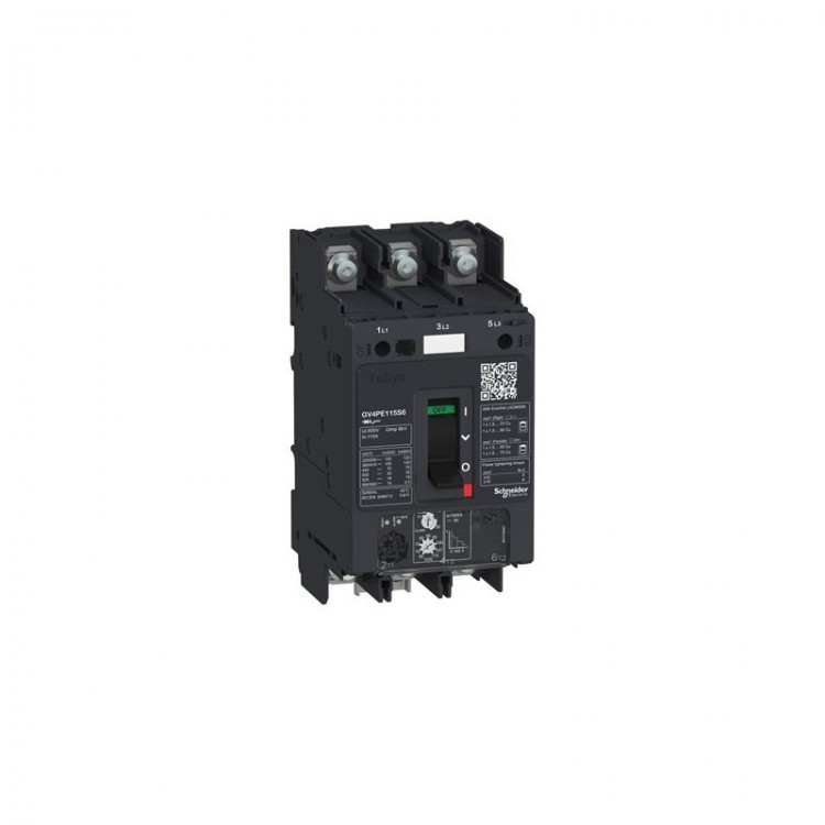 GV4PE115S6 Schneider Electric