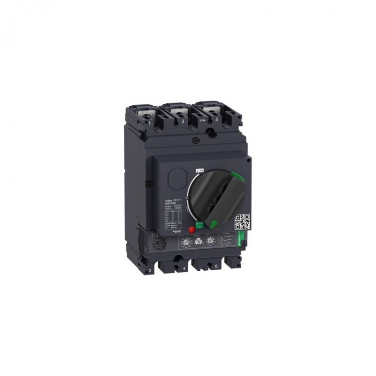 GV5P220F Schneider Electric